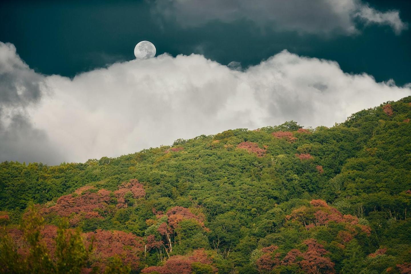 Lodge Yamajiu Hakuba Bagian luar foto